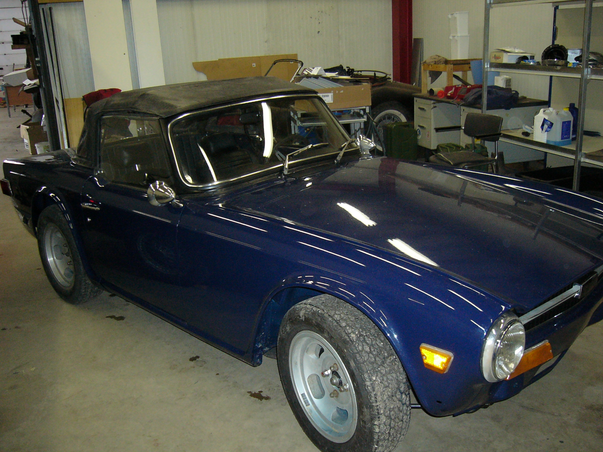 Bleu triumph